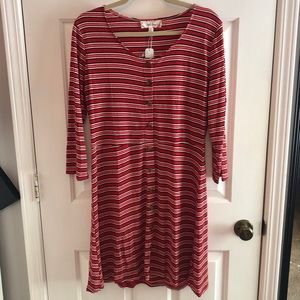 Pink Rose Striped Red Dress